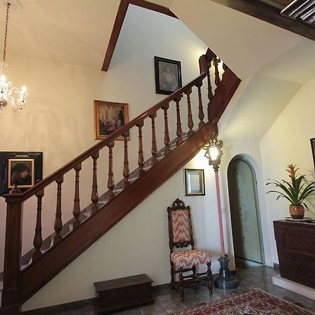 Il Diospero B&B Florence Luaran gambar