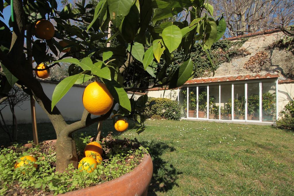 Il Diospero B&B Florence Luaran gambar